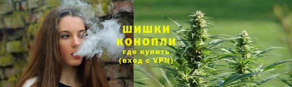 прущие крисы Армянск