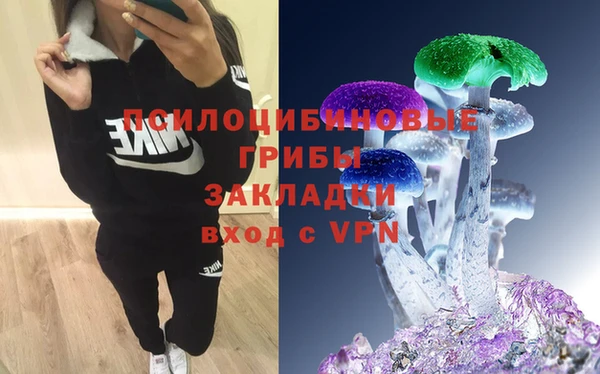 прущие крисы Армянск