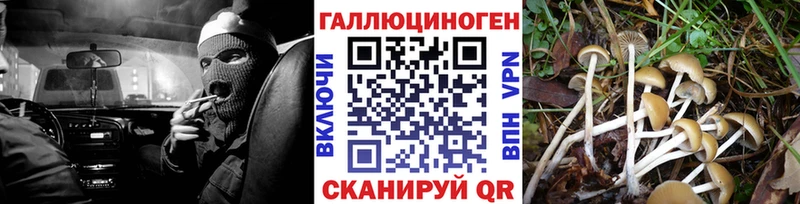 Галлюциногенные грибы Cubensis  Рошаль 